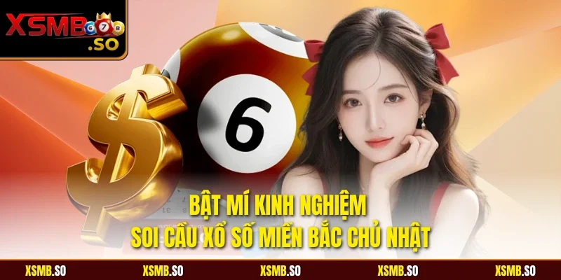 Bật mí kinh nghiệm soi cầu xổ số miền bắc chủ nhật