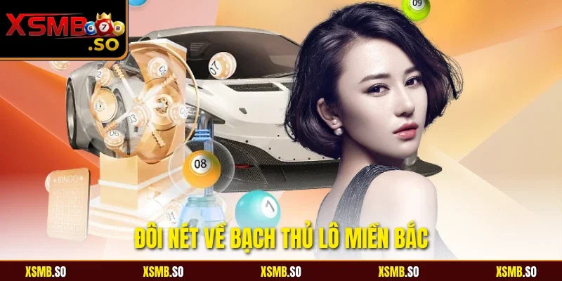 Đôi nét về bạch thủ lô miền bắc
