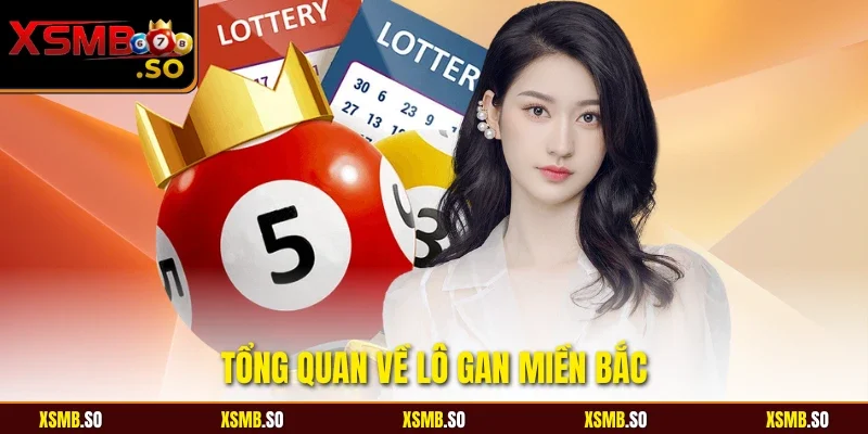 Tổng quan về lô gan miền bắc